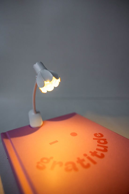 Load image into Gallery viewer, mini book lamp
