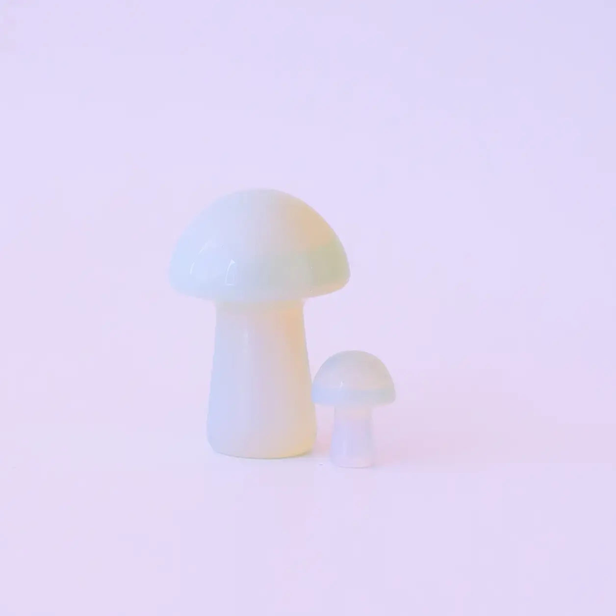 opal mushroom